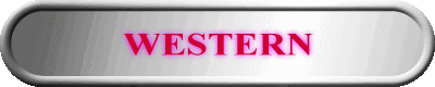WESTERN