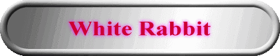 White Rabbit